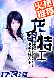 龙组特工叶枫