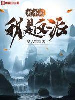 对不起我是反派TXT