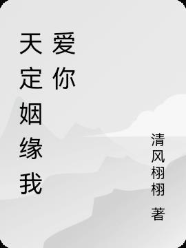 穿越之天定姻缘