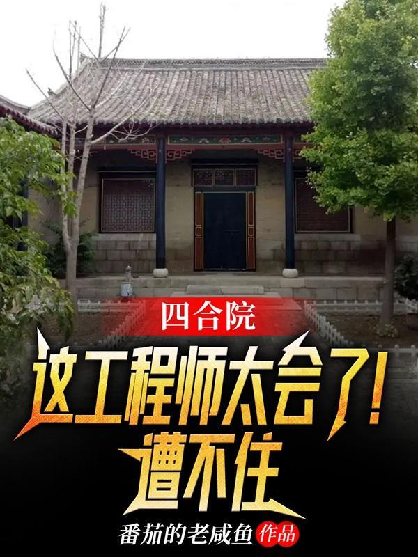 四合院之工程师
