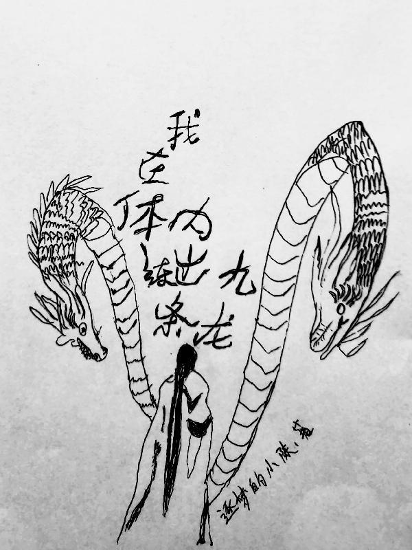我在体内练出九条龙 逐梦的小陈