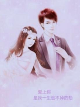 爱上你是我一生的错是什么歌曲