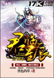 君临星空顶点