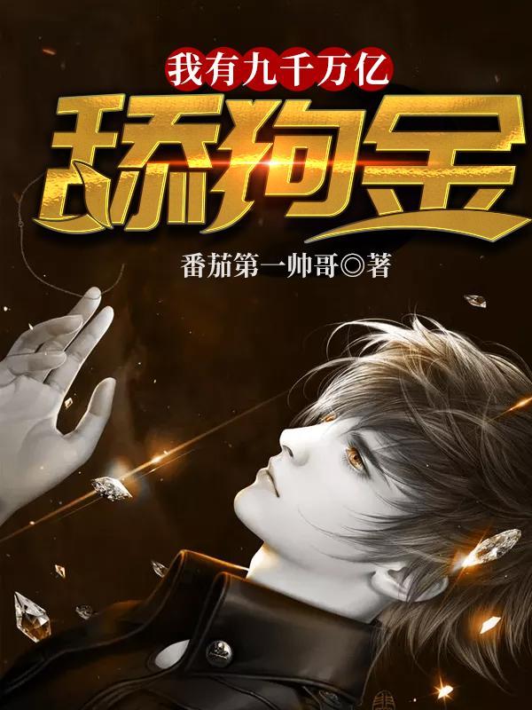我有九千万亿舔狗金原版