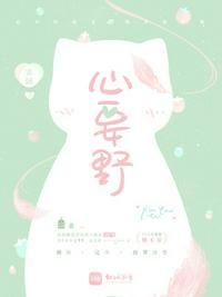 心要野后海大鲨鱼歌词