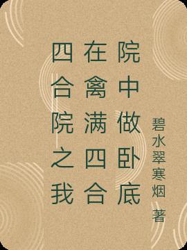 我在情满四合院中