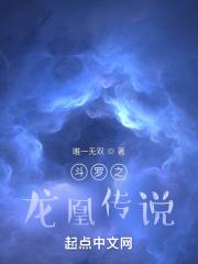斗罗之龙凰传说免费读