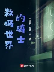 数码世界的骑士 宁疯子.CS