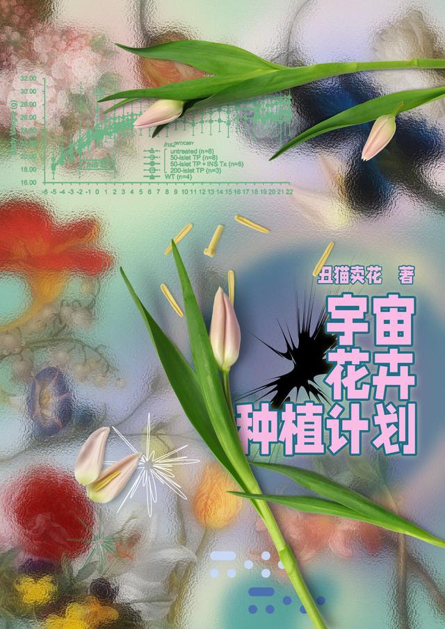 宇宙的花朵