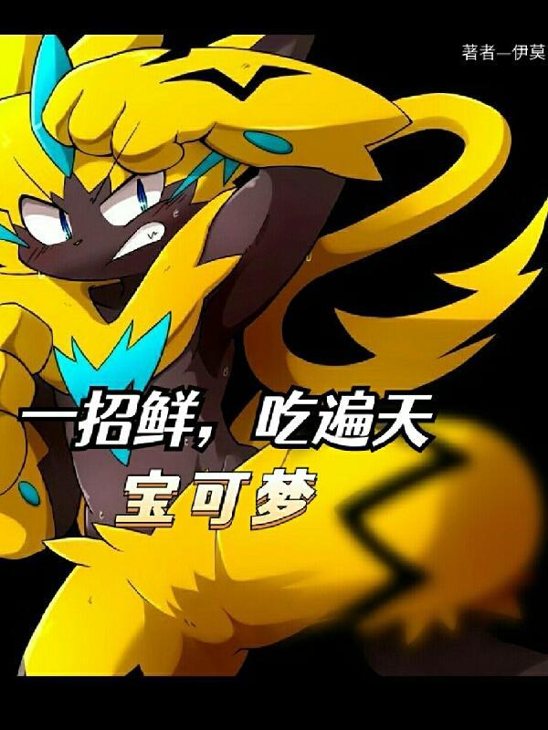 宝可梦食谱17