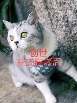 创世变成猫之后会怎么样