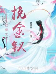 红楼之钗黛免费阅读