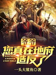 张帝新加坡演唱会搞笑之夜