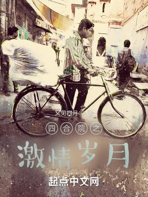 四合院之激情岁月_