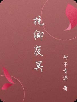 夜挽云作品