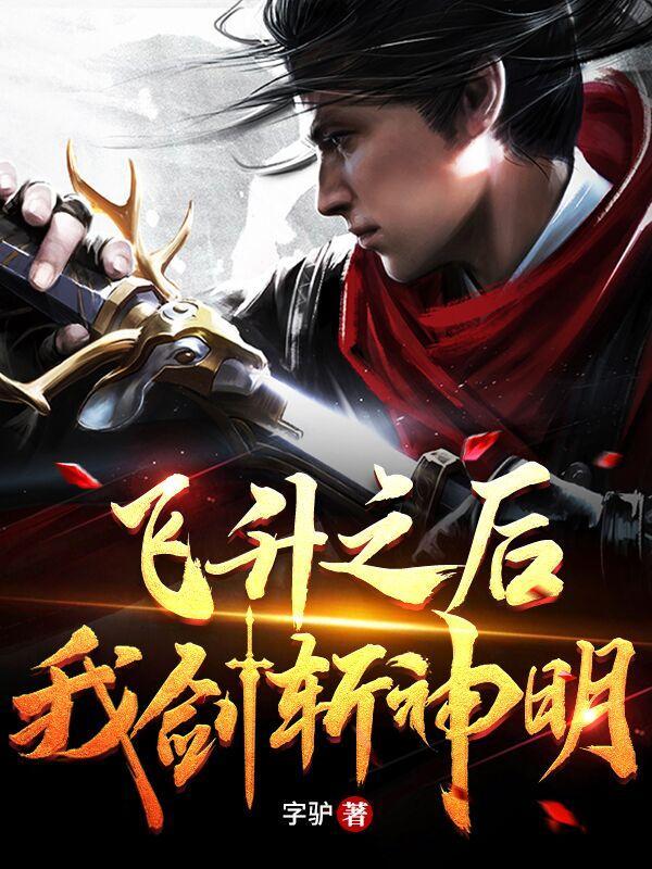 飞升之后