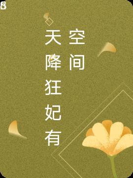 天降狂卫