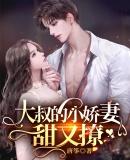 大叔的小娇妻甜又撩内容