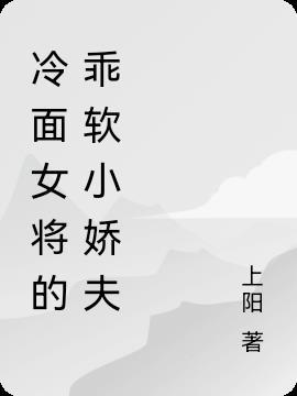 冷面女皇的小娇夫免费阅读