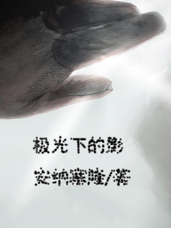 极光下国语字幕