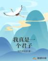 我是一个正人君子英文