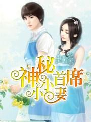 神秘首席小小妻全文阅读