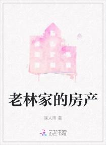 老林家的房产 寐人雨