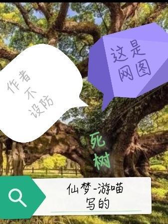 树死了用什么词形容