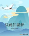 只此江湖梦简介