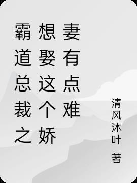 霸道总裁之想娶这个娇妻有点难 清风沐叶