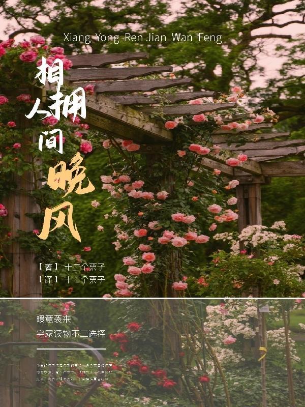 你吹过晚风算不算相拥