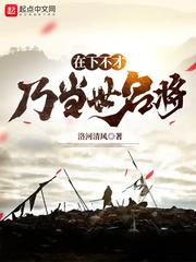 在下不才乃当世名将百度百科