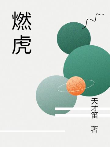 燃虎新能源科技(河北省)有限公司