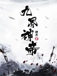 九界仙帝叶休