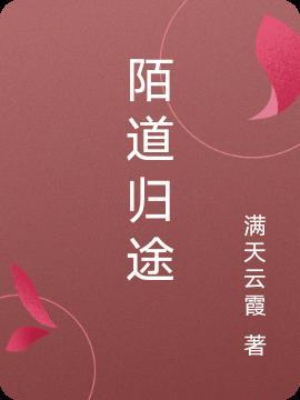 陌路归途全文免费阅读