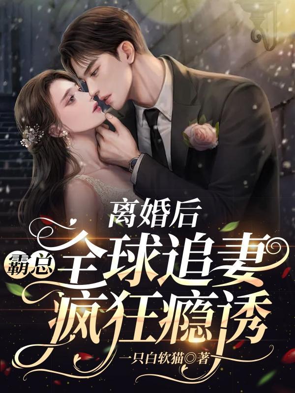 离婚后 霸总追妻火葬场