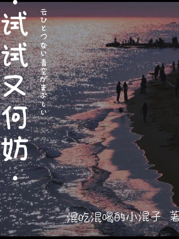 试试又何妨的议论文素材
