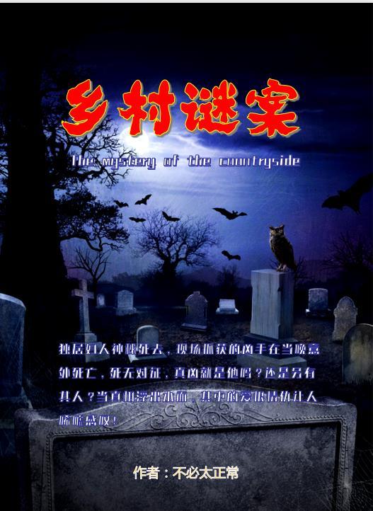 乡村谜案电影