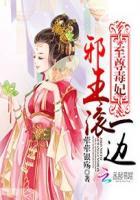 邪王冷妃至尊女杀手