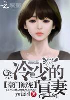豪门溺宠冷少的盲妻 yo饭团