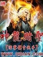 神龙赌圣之旗开得胜 电影粤语高清