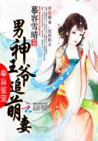 男神宠妻成瘾