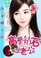 少主的二嫁新娘高攀钻石老公的