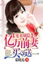 亿万前妻买一送二免费阅读