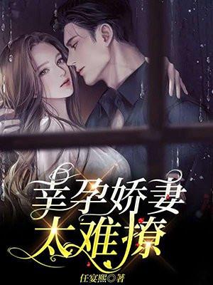 幸孕娇妻太难撩 任宴熙