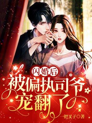 司先生每天都宠我