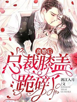 离婚后总裁膝盖跪碎了林厌述秦声薇作者渡江小月