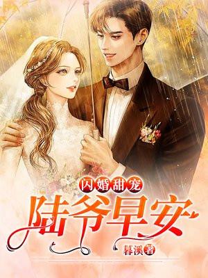 闪婚成爱陆先生