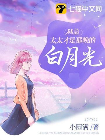 陆太太越来越甜免费阅读