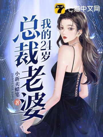 我的24岁总裁老婆1-100集免费观看